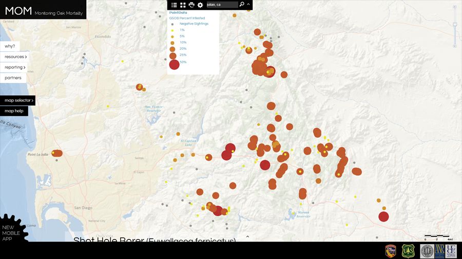Oak borer map