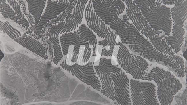 Aerial image archive